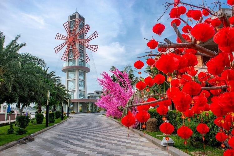 Check-in The Maris Vũng Tàu với đại lộ ánh sáng, con đường đa sắc màu, hàng cây hồng phát rực rỡ đón năm mới bình an.