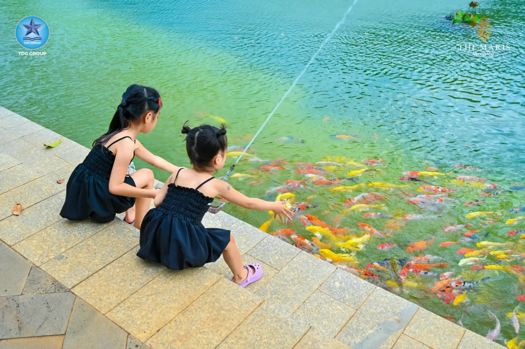 TRẢI NGHIỆM CHO CÁ ĂN VÀ NGẮM ĐÀN CÁ KOI TUNG TĂNG BƠI LỘI