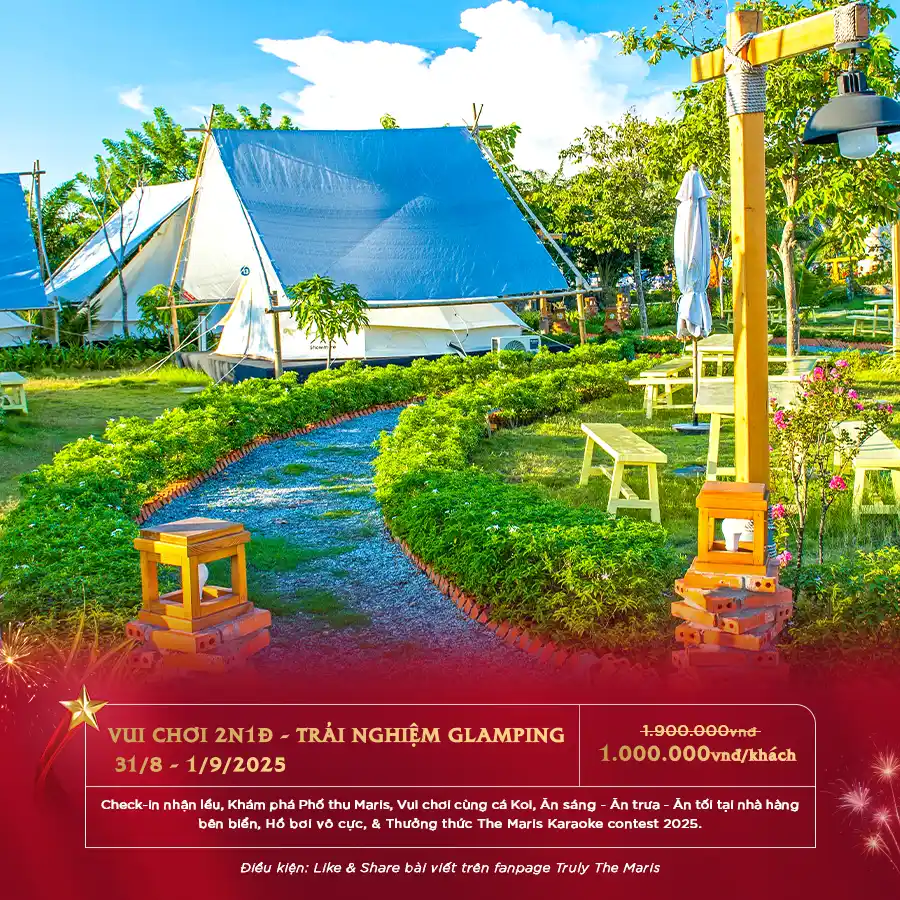 THE MARIS MỪNG QUỐC KHÁNH 2025 6