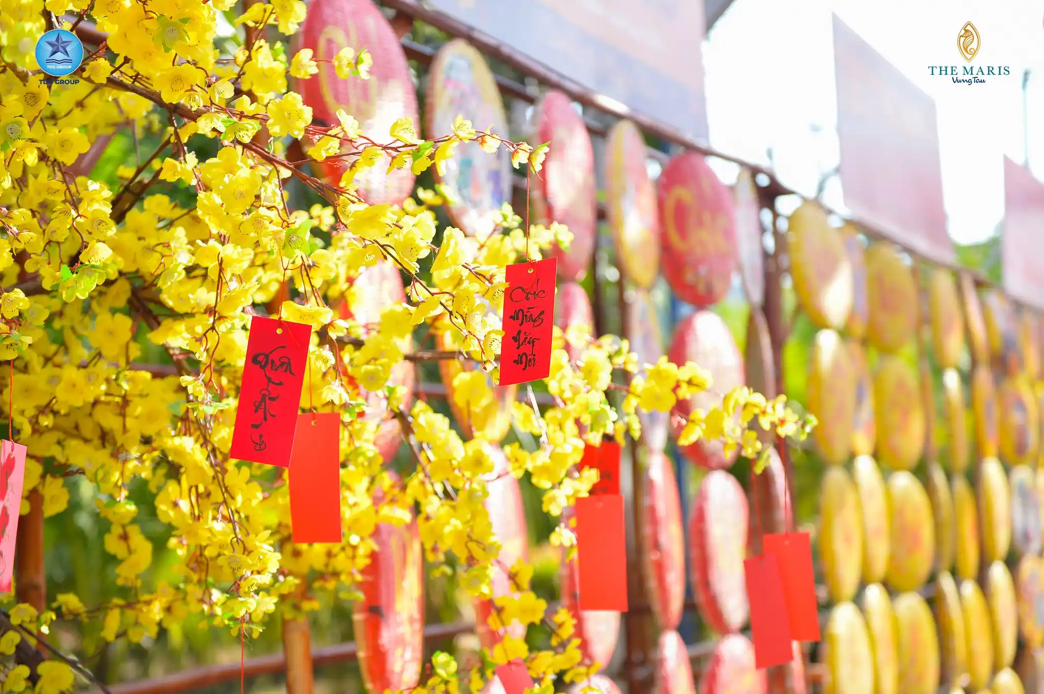 LÊN LỊCH “TRẨY HỘI” CÙNG CHUỖI ĐÊM NHẠC XUYÊN TẾT 2026 “XUÂN AN YÊN – ĐÓN TẾT BÊN BIỂN” TẠI THE MARIS VŨNG TÀU 23 5 CHUỖI ĐÊM NHẠC XUYÊN TẾT 2026 “XUÂN AN YÊN – ĐÓN TẾT BÊN BIỂN” TẠI THE MARIS VŨNG TÀU