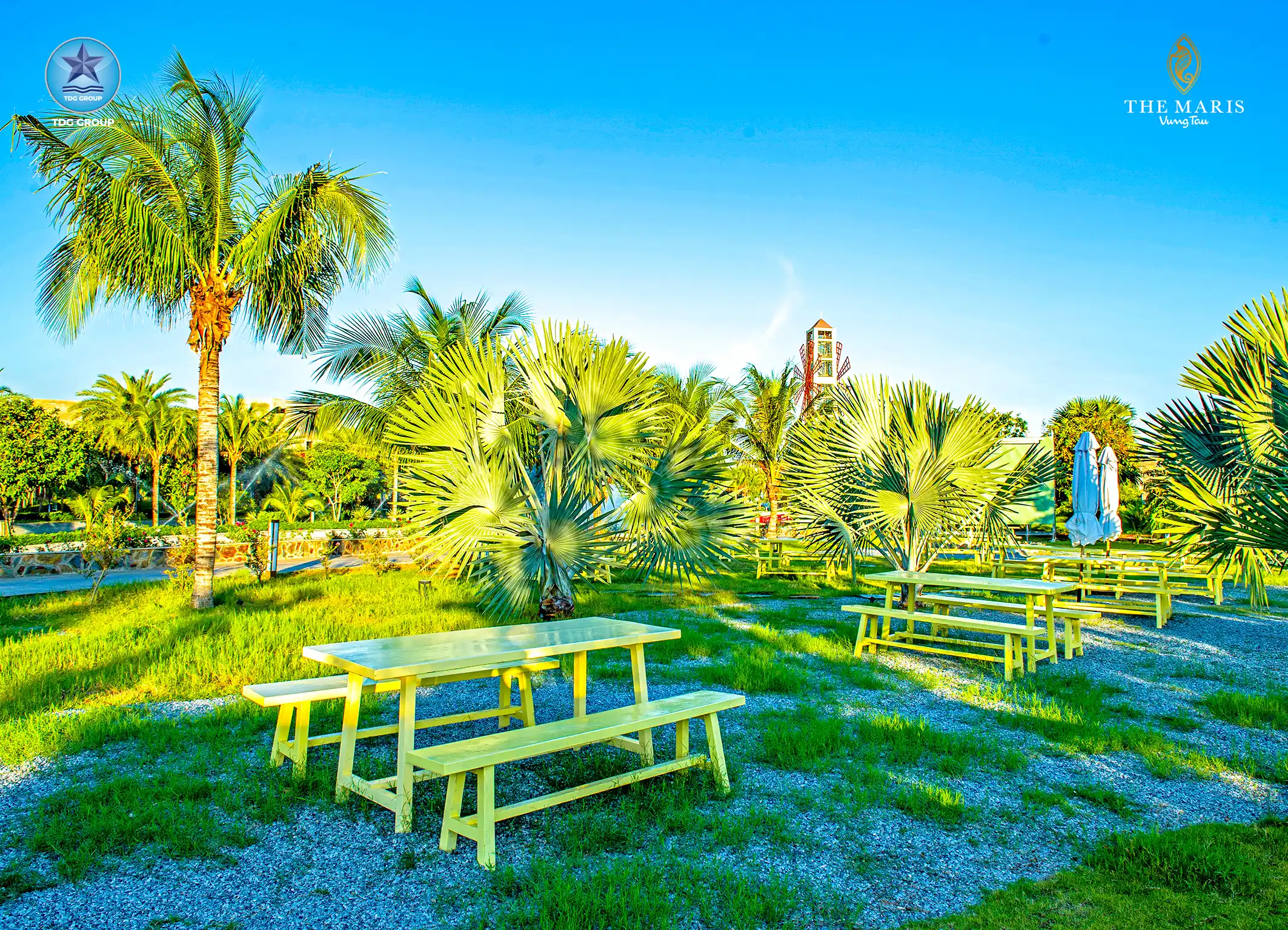 trải nghiệm lều glamping sang trọng tại the maris vũng tàu vào ngày the maris festival 2026 2